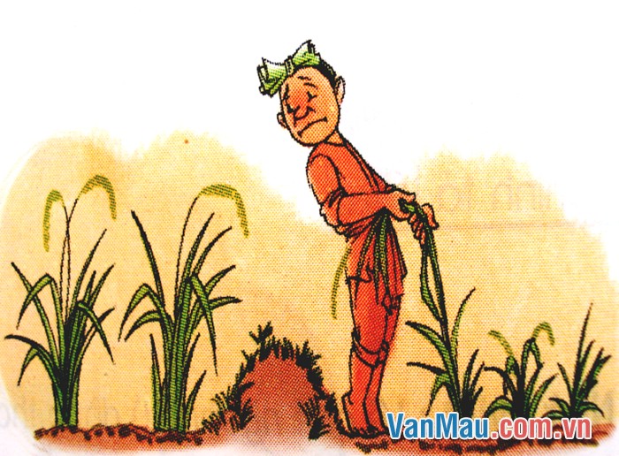 Kể lại câu chuyện Kéo cây lúa lên