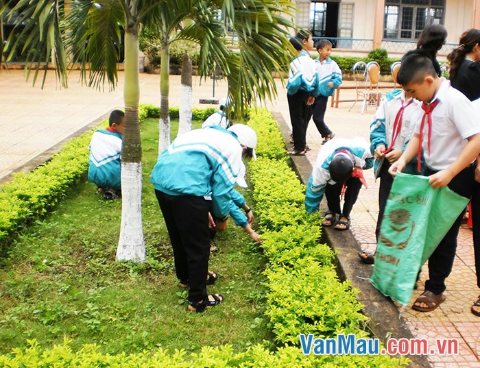 những việc cần làm dể bảo vệ môi trường của các bạn nhóm 2 những việc cần làm dể bảo vệ môi trường của các bạn nhóm 2