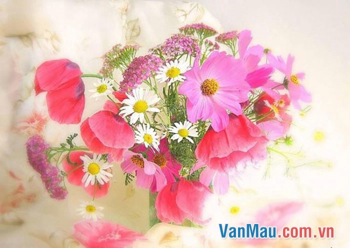 Viết một điện báo cho chị gái ở quê ra nhận quà sinh nhật em đã gửi Viết một điện báo cho chị gái ở quê ra nhận quà sinh nhật em đã gửi