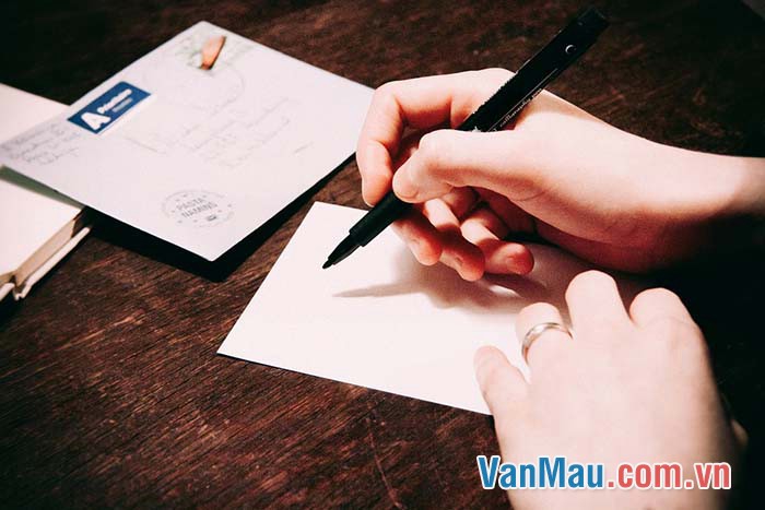 Bà ơi, cháu là Thảo Mi, mèo con của bà đây
