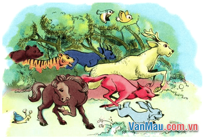 Dựa vào các bức tranh đã vẽ ở SGK Tiếng Việt 3 - Tập Hai, trang 82, kể lại câu chuyện “Cuộc chạy đua trong rừng” bằng lời của ngựa con