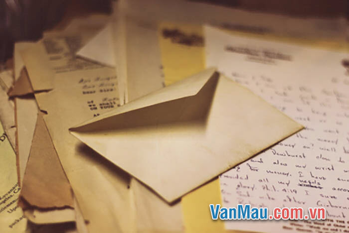 Hãy viết một bức thư ngắn cho một bạn nước ngoài để làm quen và bày tỏ tình thân ái