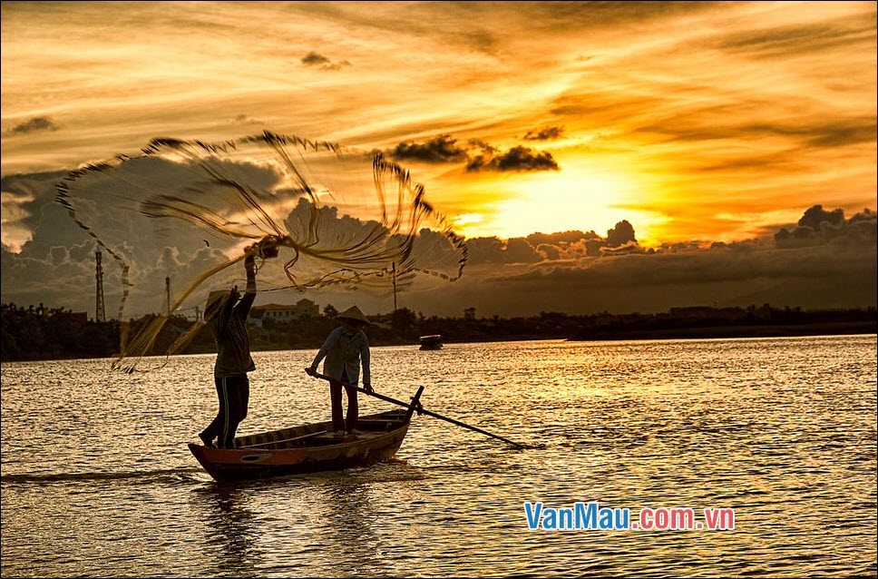 Hãy cùng thưởng thức hình ảnh đoàn thuyền đánh cá đầy màu sắc và hồi hộp để tận hưởng những trải nghiệm khó quên của người đánh cá trên biển.