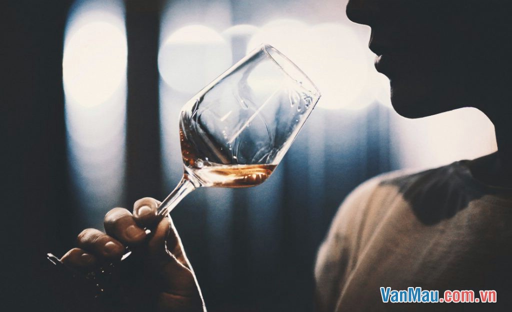 Văn nghị luận: Rượu đang uống người